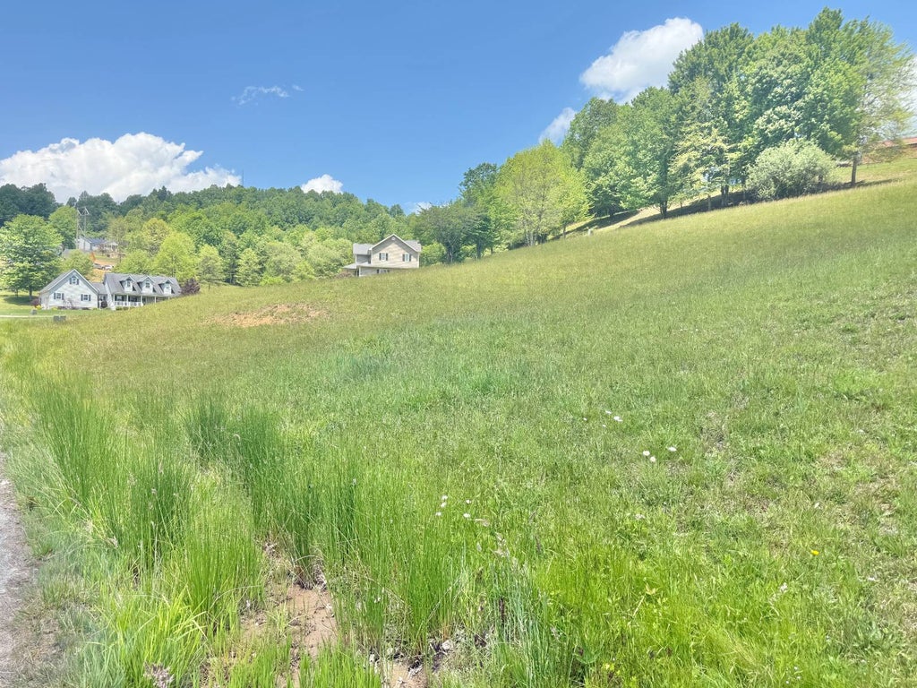 Photo of 16 Deer Creek Lane, Buckhannon, WV 26201 (MLS # 11931196)