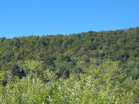 Photo of 00 County Hwy 14, East Meredith, NY 13757 (MLS # 11673282)