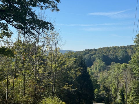 Photo of 00 Sisson Hill Rd #3, Unadilla, NY 13849 (MLS # 11970087)