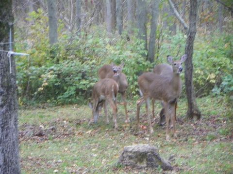 Photo of 5 Idlemore Rd, Port Austin, MI 48467 (MLS # 11686426)