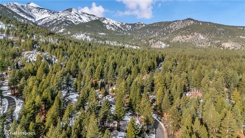 307 E Jeffrey Pine Rd Town out of Area NV 89511