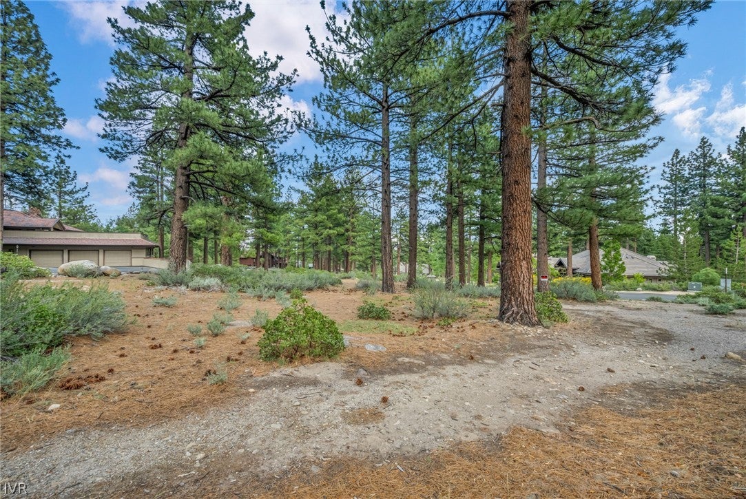 307 E Jeffrey Pine Rd