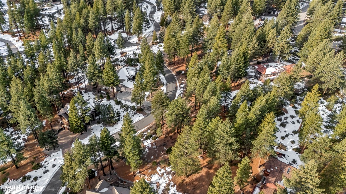 307 E Jeffrey Pine Rd