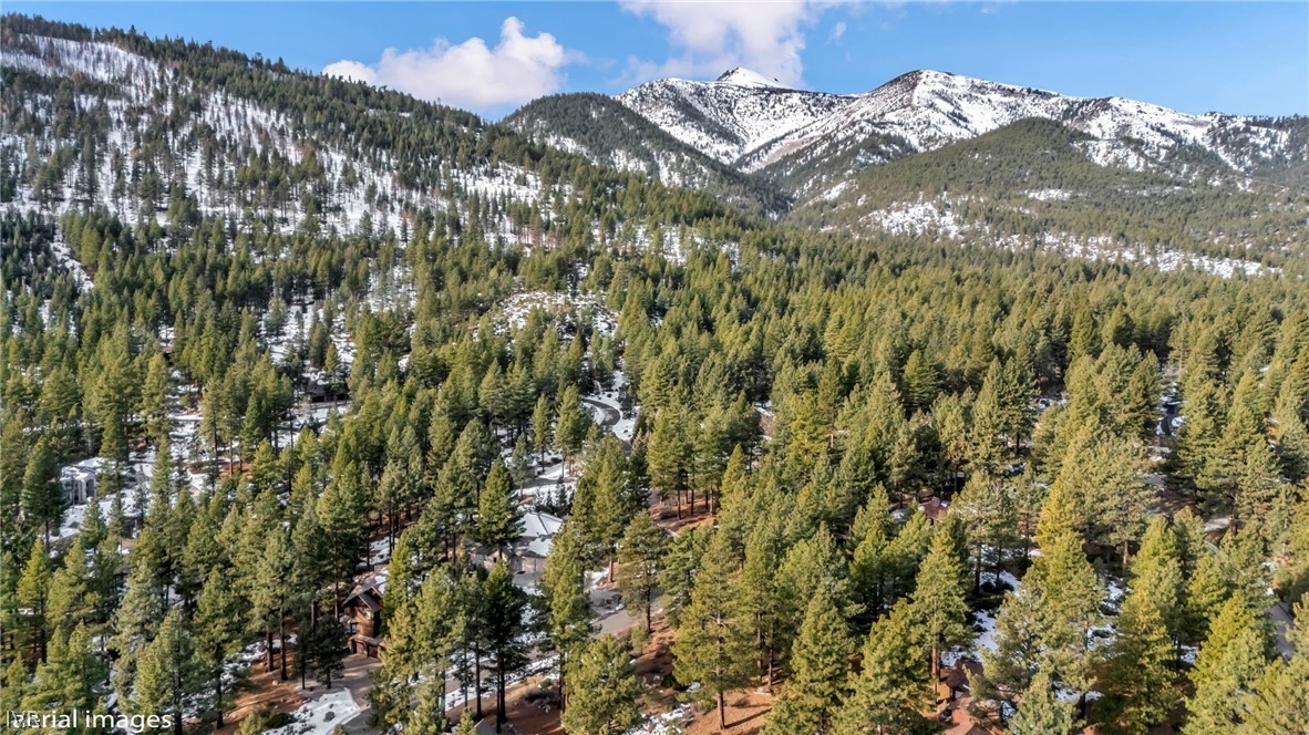 307 E Jeffrey Pine Rd