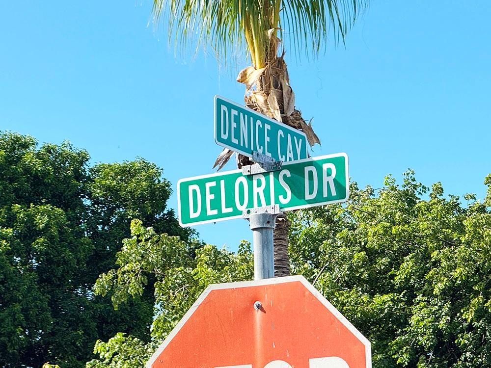 Bacardi Road, The Bahamas, ,Land,Active,240533