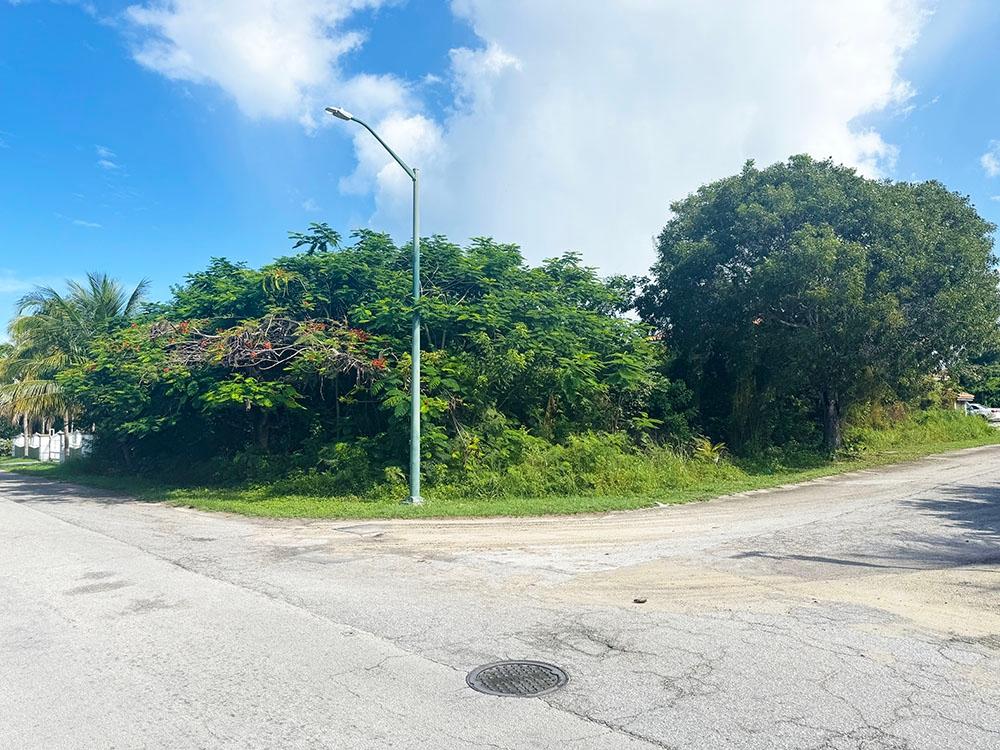 Bacardi Road, The Bahamas, ,Land,Active,240533