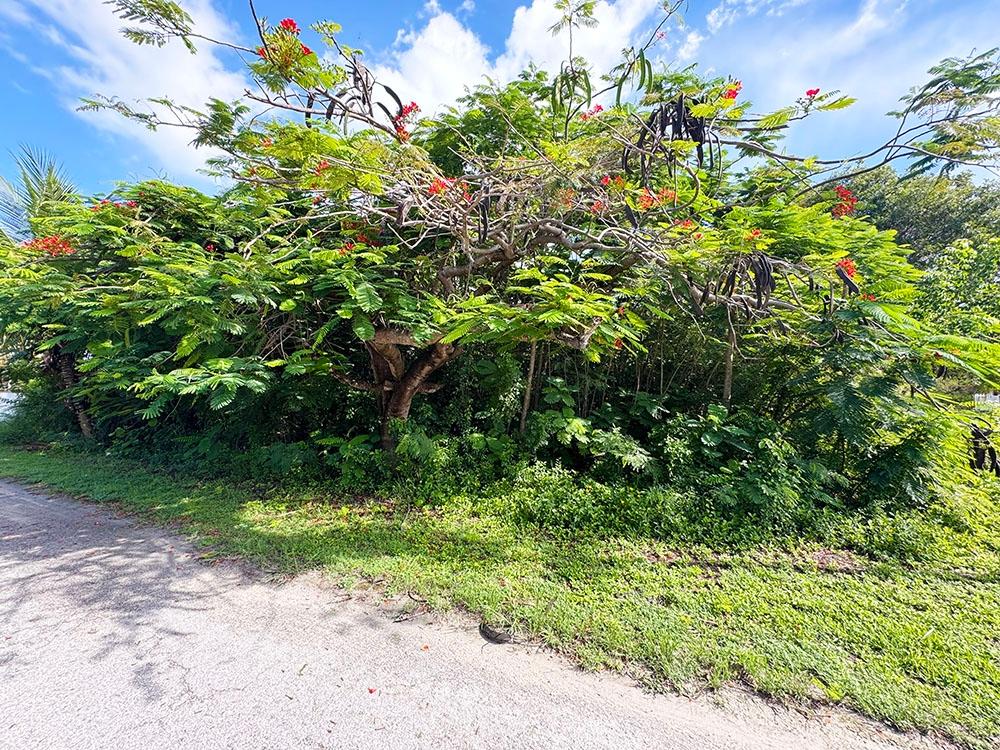 Bacardi Road, The Bahamas, ,Land,Active,240533