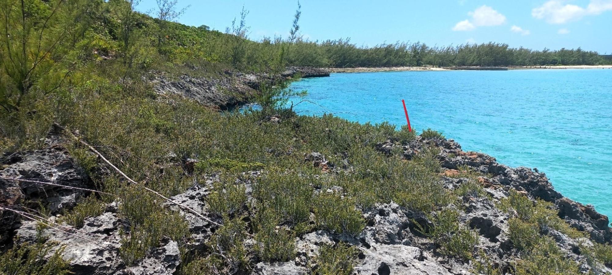 Governor's Harbour, The Bahamas, ,Land,Active,121435
