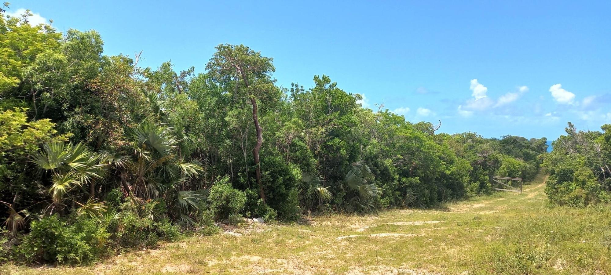 Governor's Harbour, The Bahamas, ,Land,Active,121435