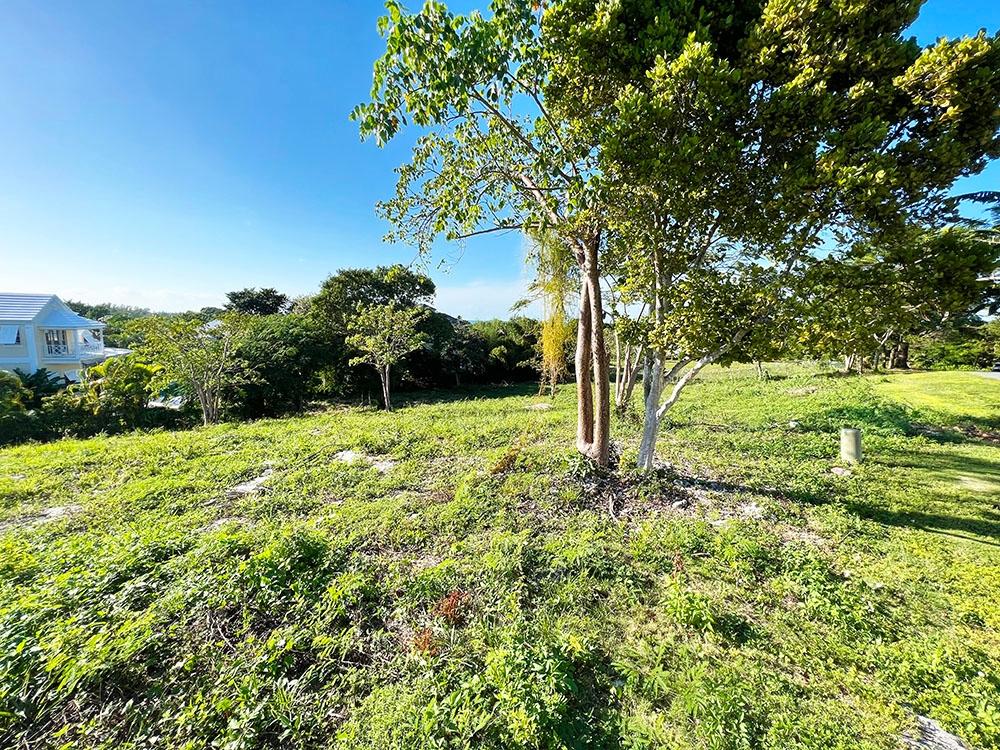Lyford Cay, The Bahamas, ,Land,Active,155276