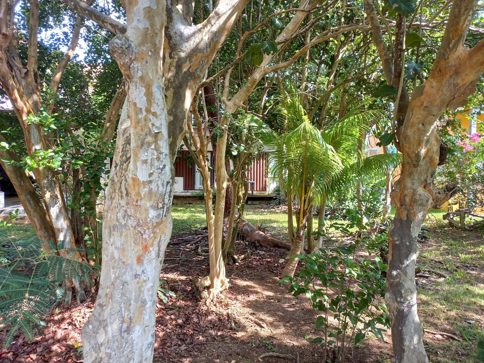 Harbour Island, The Bahamas, 3 Bedrooms Bedrooms, ,2 BathroomsBathrooms,Residential,Active,121426