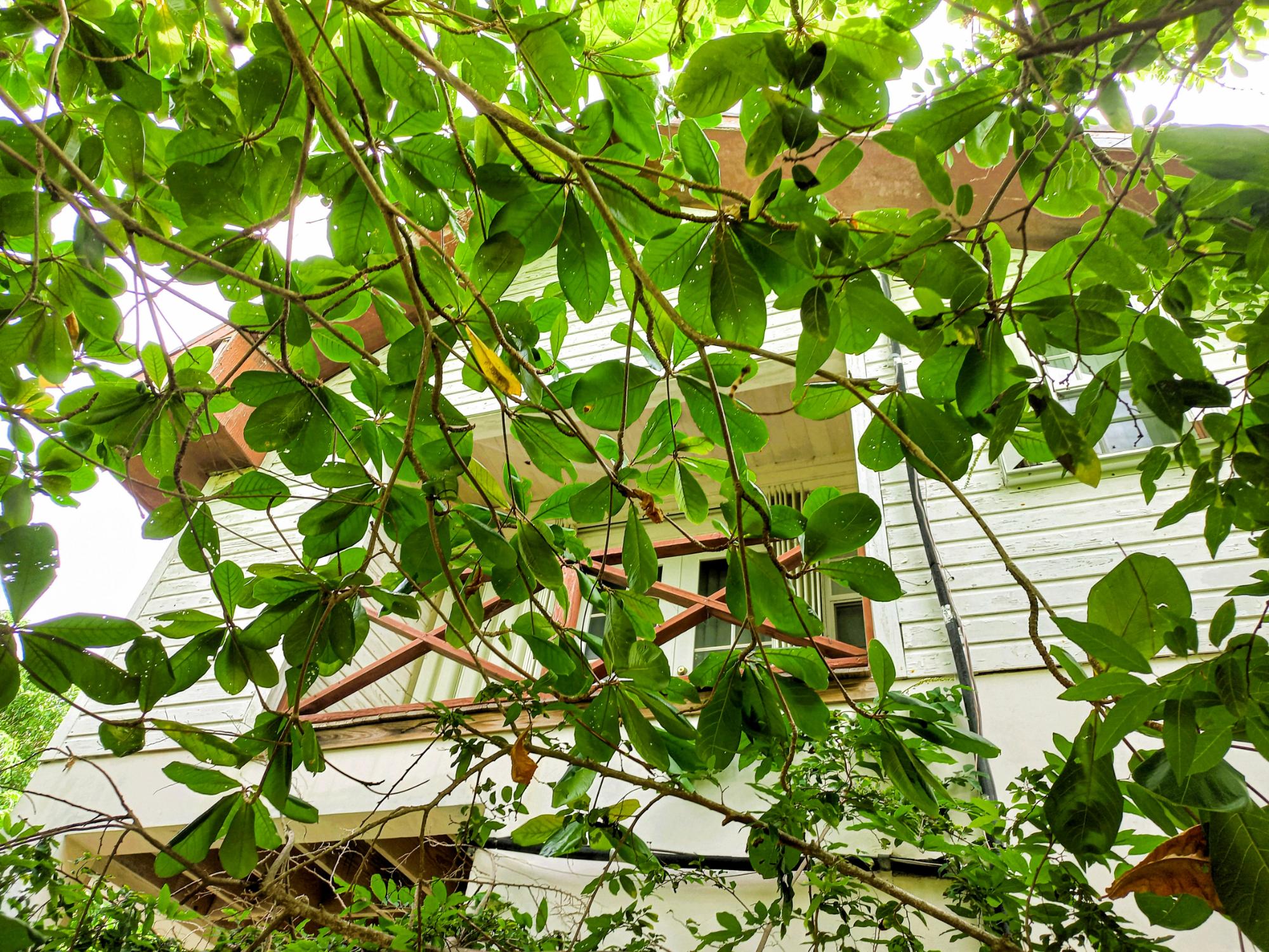 Harbour Island, The Bahamas, 3 Bedrooms Bedrooms, ,2 BathroomsBathrooms,Residential,Active,121426