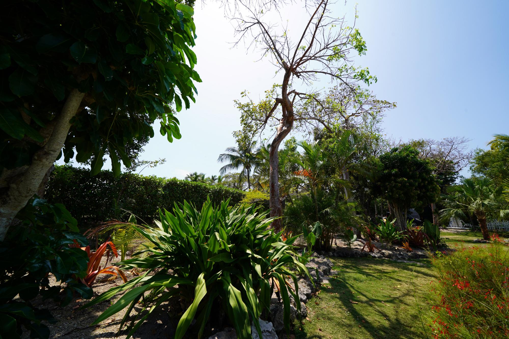 Lyford Cay, The Bahamas, 4 Bedrooms Bedrooms, ,4 BathroomsBathrooms,Residential,Active,135240