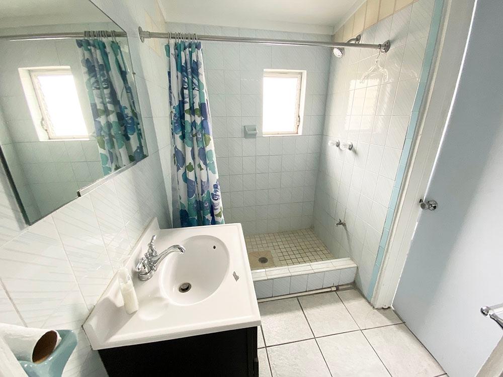 Downtown, The Bahamas, ,Commercial,Active,155271