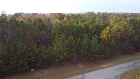 Vacant Land For Sale - LOT 51 Willow Way<br/> Lincoln County, Lincolnton, GA 30817