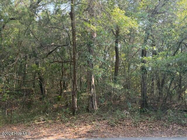 Photo of 6 Colonel William Rhett Trail, Bald Head Island, NC 28461 (MLS # 100585330)