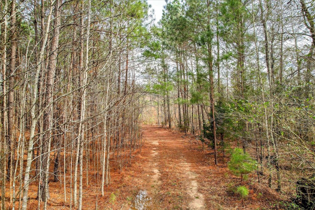 Photo of 0 Appling Harlem Road, Harlem, GA 30814 (MLS # 552725)