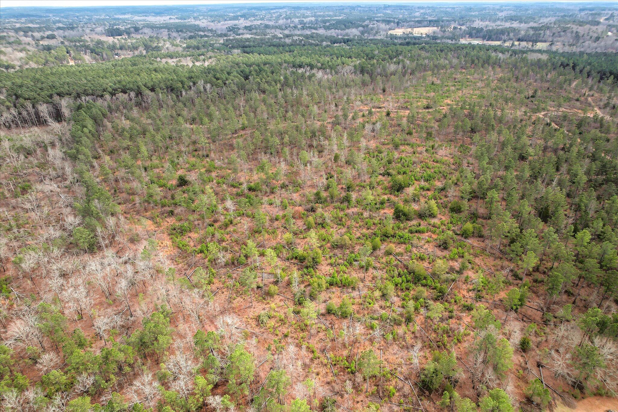 0 Appling Harlem Road 031 036