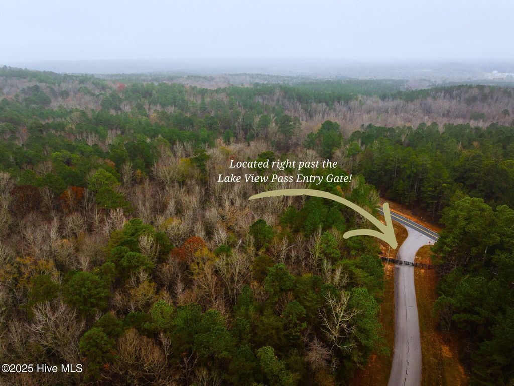 Photo of 114 Lake View Pass Pass, Rockingham, NC 28379 (MLS # 100544443)