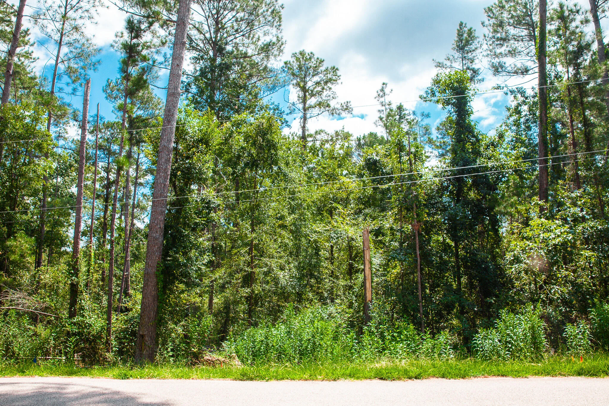 Lot 6 Furey Drive