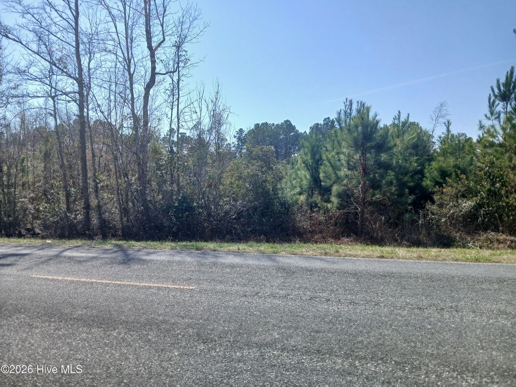 Photo of 390 Chadwick Acres Road Road, Sneads Ferry, NC 28460 (MLS # 100557982)