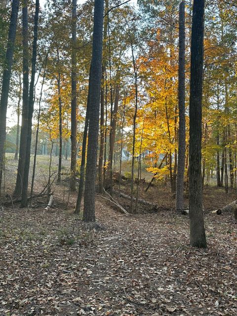 Vacant Land For Sale - 6-3 Long Cove Drive<br/> Lincolnton, GA 30817