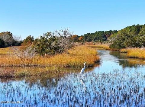 Tiny photo for 132 Royal Palms Way, Holly Ridge, NC 28445 (MLS # 100542109)