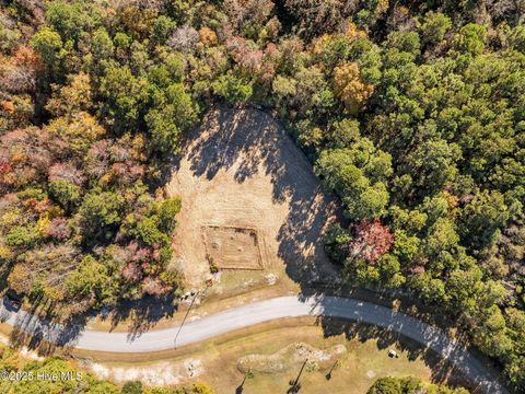 Tiny photo for 132 Royal Palms Way, Holly Ridge, NC 28445 (MLS # 100542109)