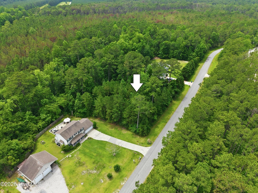 Photo of 204 Lemonwood Drive, Havelock, NC 28532 (MLS # 100580253)