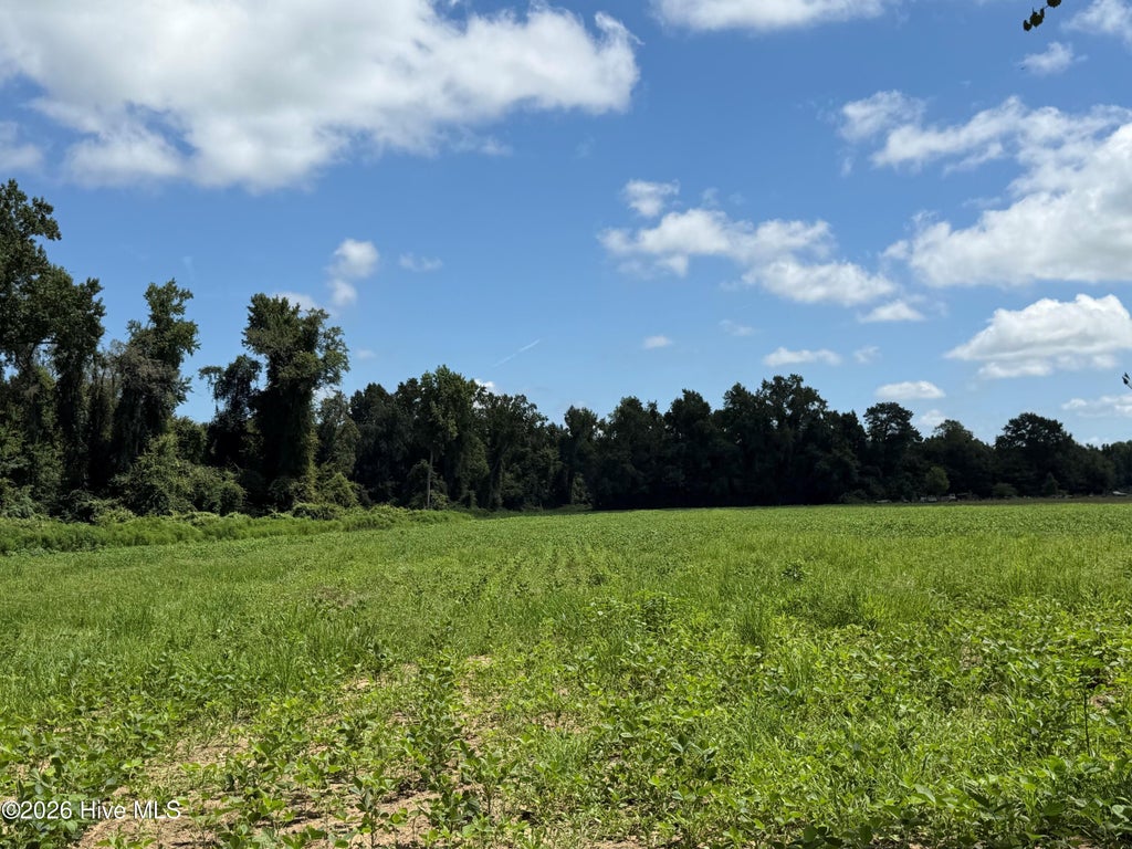 Photo of 6514 Princess Ann Road, Evergreen, NC 28438 (MLS # 100595064)