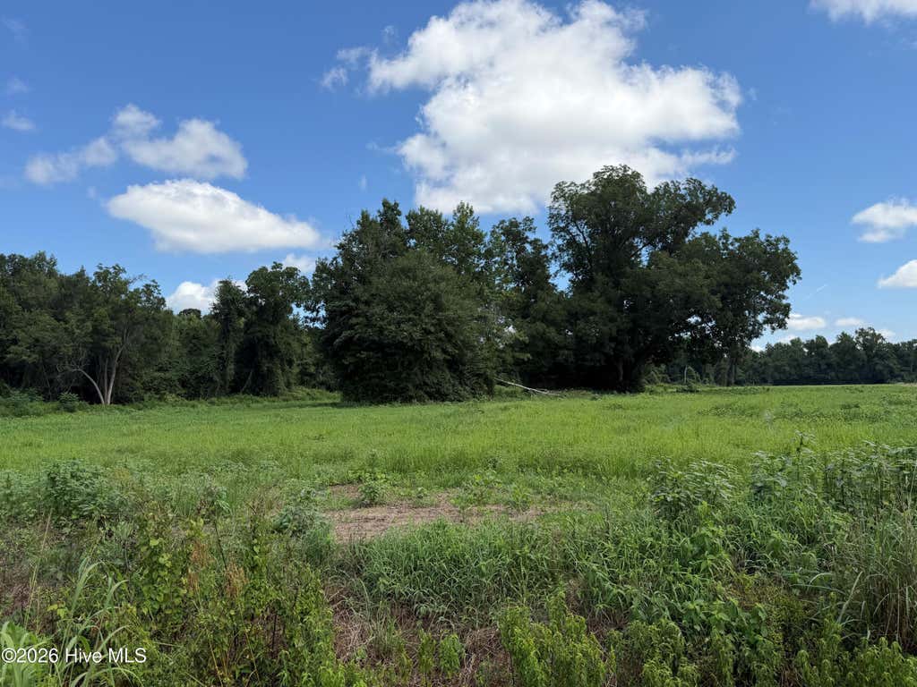 Photo of 6514 Princess Ann Road, Evergreen, NC 28438 (MLS # 100595064)