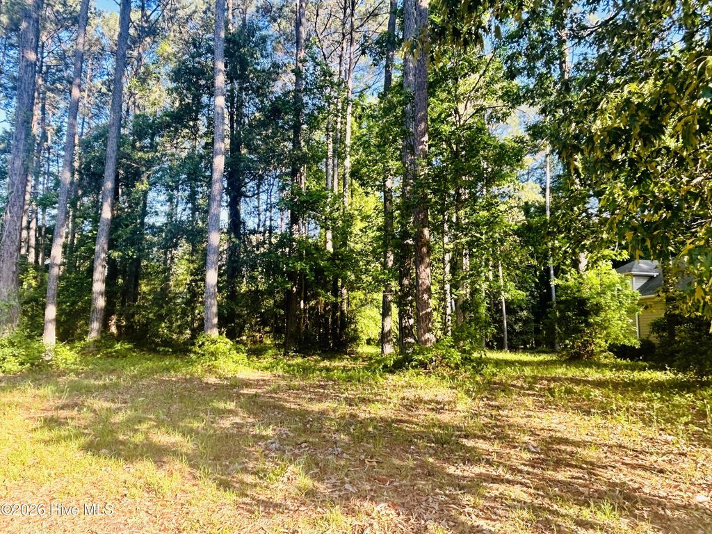 Photo of 116 Magnolia Bay Lane, Wallace, NC 28466 (MLS # 100572659)