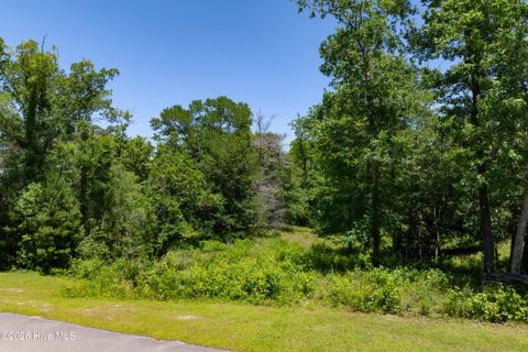 Tiny photo for 10 Tree Hill Lane, Hubert, NC 28539 (MLS # 100578668)