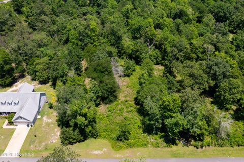 Tiny photo for 10 Tree Hill Lane, Hubert, NC 28539 (MLS # 100578668)