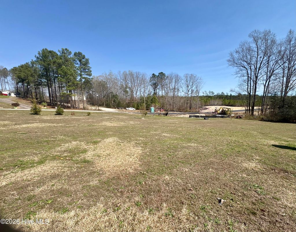 Photo of 110 River Drive, Louisburg, NC 27549 (MLS # 100560442)