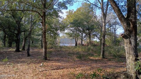 Tiny photo for 203 Flemington Road, Wilmington, NC 28401 (MLS # 100551396)