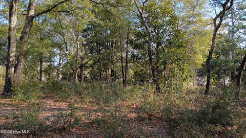 Tiny photo for 203 Flemington Road, Wilmington, NC 28401 (MLS # 100551396)