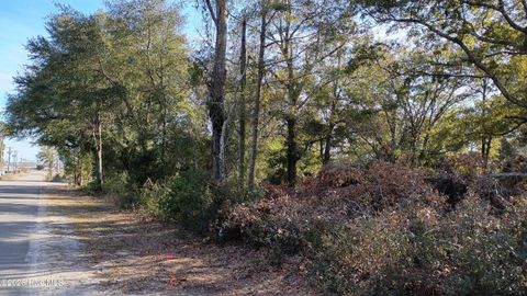 Tiny photo for 203 Flemington Road, Wilmington, NC 28401 (MLS # 100551396)