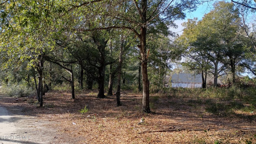 Photo of 203 Flemington Road, Wilmington, NC 28401 (MLS # 100551396)