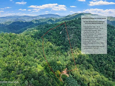 Vacant Land For Sale - X Bee Branch Road<br/> Burnsville, NC 28714