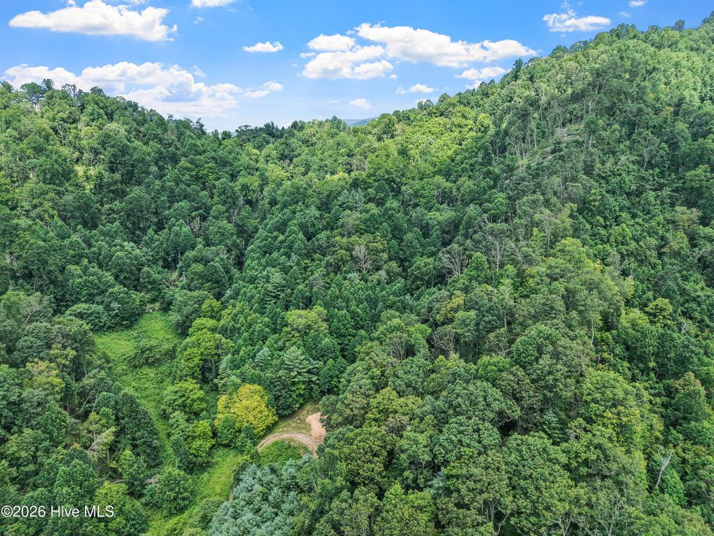 Photo of X Bee Branch Road, Burnsville, NC 28714 (MLS # 100550742)