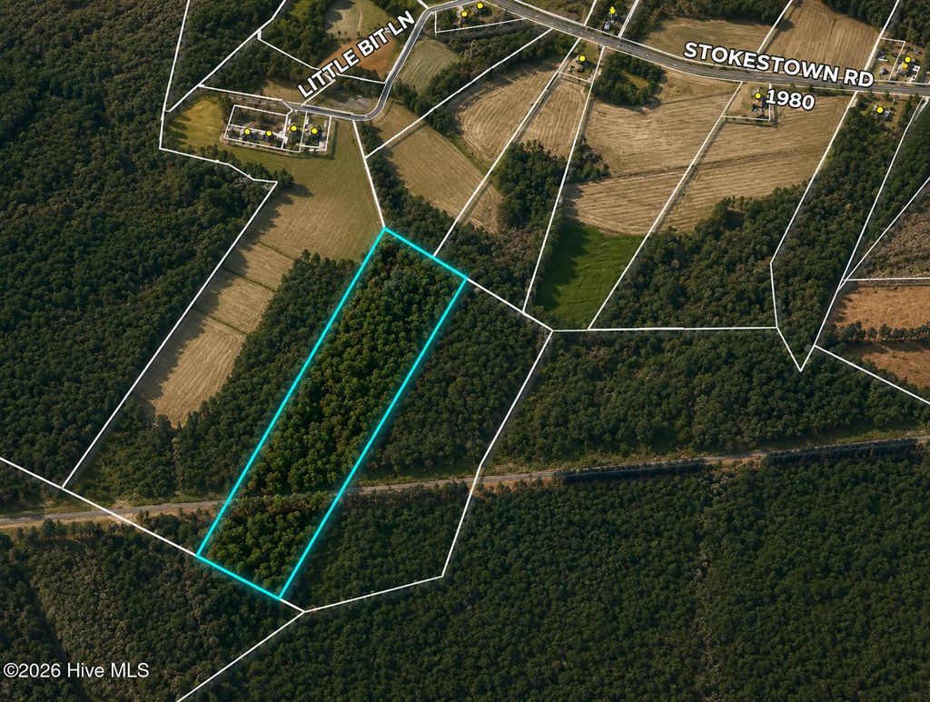 Photo of 00 Stokestown Road, Wallace, NC 28466 (MLS # 100573158)