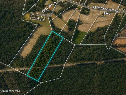 Vacant Land For Sale - 00 Stokestown Road<br/> Wallace, NC 28466