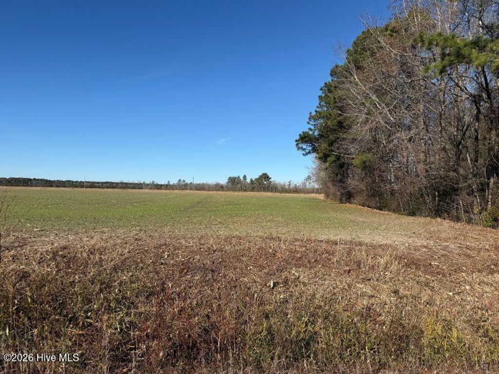 Photo of 2056 N Carolina 903, Greenville, NC 27834 (MLS # 100547533)