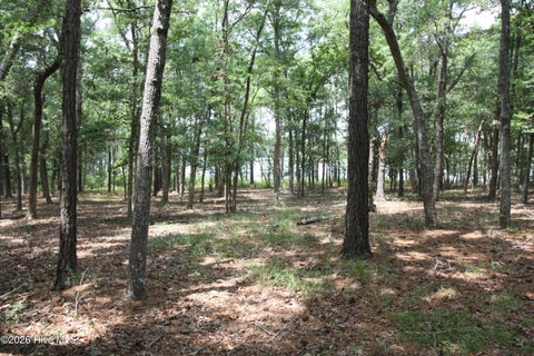 Tiny photo for 1809 Harbour Edge Lane SW, Supply, NC 28462 (MLS # 100592171)