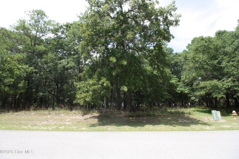 Photo of 1809 Harbour Edge Lane SW, Supply, NC 28462 (MLS # 100592171)