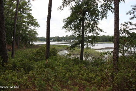 Tiny photo for 1809 Harbour Edge Lane SW, Supply, NC 28462 (MLS # 100592171)