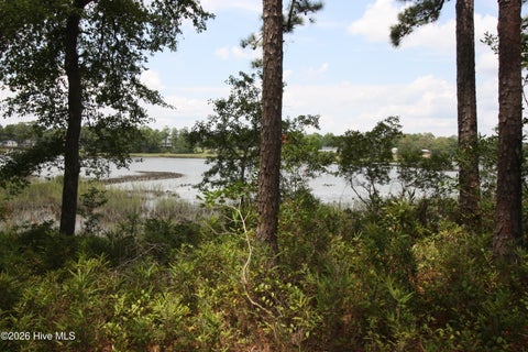Tiny photo for 1809 Harbour Edge Lane SW, Supply, NC 28462 (MLS # 100592171)