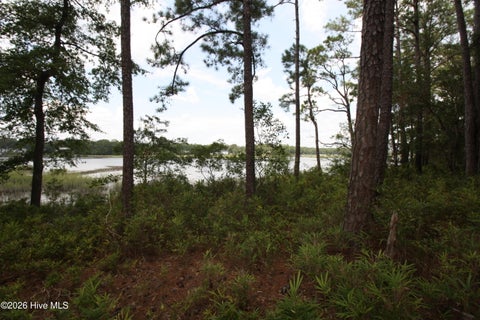 Tiny photo for 1809 Harbour Edge Lane SW, Supply, NC 28462 (MLS # 100592171)