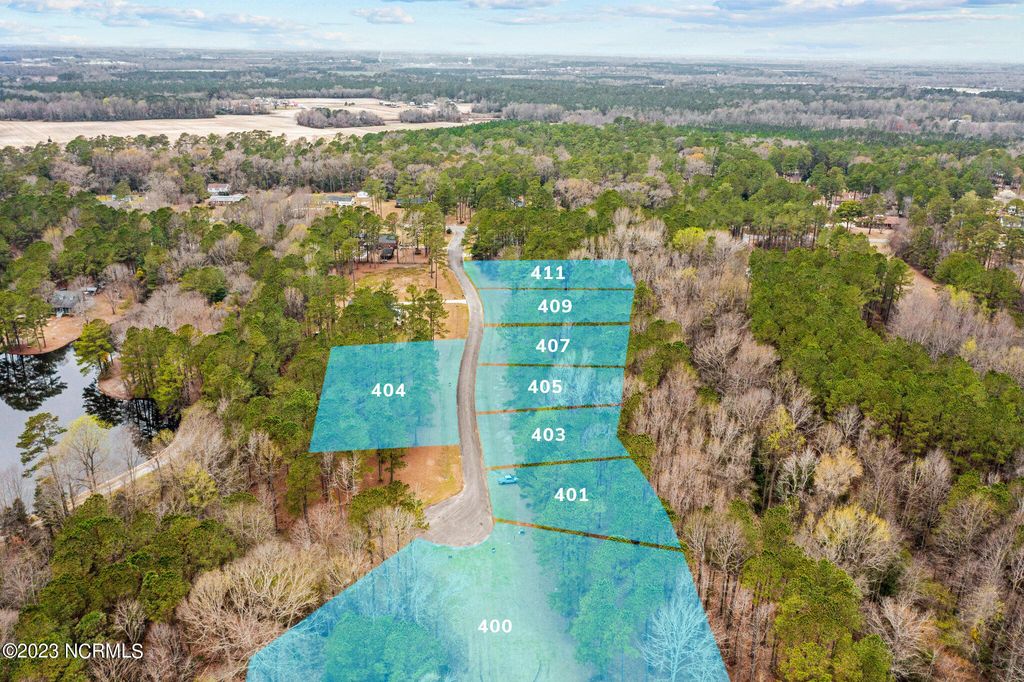 Photo of 407 Anna Lane, Snow Hill, NC 28580 (MLS # 100374428)